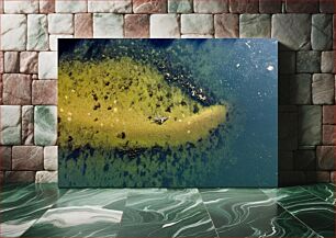 Πίνακας, Aerial View of Underwater Landscape Εναέρια άποψη του υποβρύχιου τοπίου