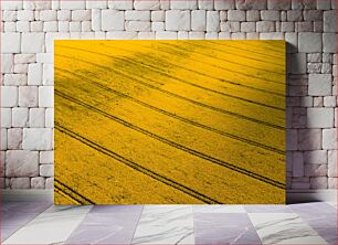 Πίνακας, Aerial View of Yellow Field Αεροφωτογραφία του Κίτρινου Πεδίου