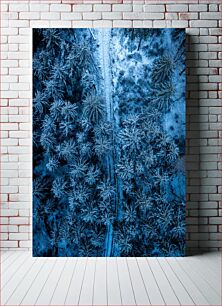 Πίνακας, Aerial Winter Forest Εναέριο Χειμερινό Δάσος