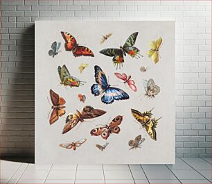 Πίνακας, Aesthetic butterflies and moth painting