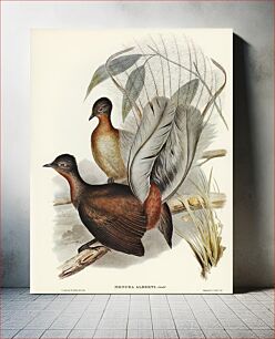 Πίνακας, Albert Lyre-Bird (Menura Alberti) illustrated by Elizabeth Gould (1804–1841) for John Gould’s (1804-1881) Birds o