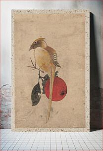 Πίνακας, Album of Sketches by Katsushika Hokusai and His Disciples