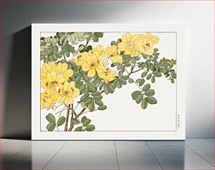 Πίνακας, Allamanda flower, Japanese woodblock art