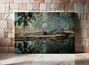 Πίνακας, Alligator by the Water Αλιγάτορας δίπλα στο νερό