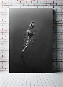 Πίνακας, Alligator in the Water Αλιγάτορας στο νερό
