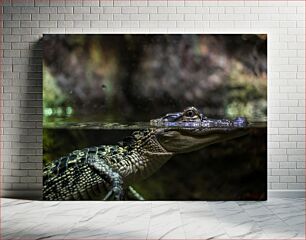 Πίνακας, Alligator in Water Αλιγάτορας στο νερό