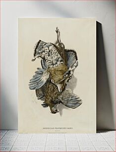 Πίνακας, American Feathered Game--Partridges, Nathaniel Currier