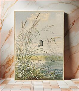 Πίνακας, Among the reeds