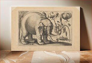 Πίνακας, An elephant