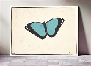 Πίνακας, An exotic day butterfly by Pieter Holsteijn