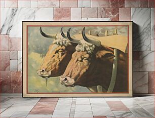 Πίνακας, [An image of two oxen, drooling]