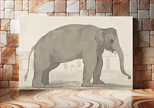 Πίνακας, An Indian Elephant at Lucknow, September 1, 1789
