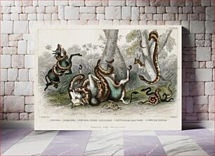 Πίνακας, Anaconda, Pedda Poda, Port Natal Python, Rattlesnake, Rattlesnake Black Variety, and Cobra de Capello. A History of the Earth and Animated Nature (1820) by Oliver Goldsmith (1730-1774)