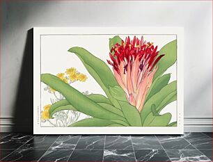 Πίνακας, Ananas flower, Japanese woodblock art