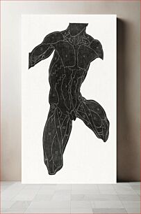 Πίνακας, Anatomical study of a man's muscles in silhouette (1906–1945) by Reijer Stolk