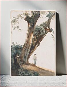 Πίνακας, Ancient Trees in the Roman Campagna (1850s) by Giovanni Costa
