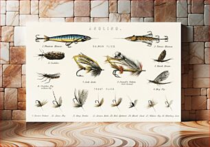 Πίνακας, Angling baits from British Fresh Water Fishes (1879)