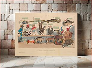 Πίνακας, Animal Kingdom: Natural History Cabinet (Règne animal: Cabinet d'histoire naturelle), from La Caricature, plates 265 and 266