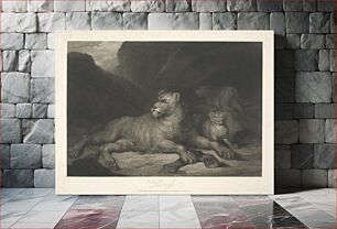 Πίνακας, Animals [a pair]: 1. Lioness