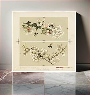 Πίνακας, Apple-blossoms and bees / Cherry blossoms and bees by Olive E. Whitney