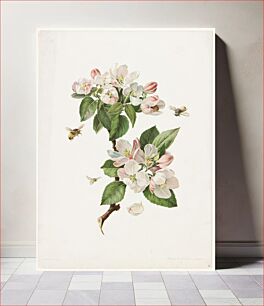 Πίνακας, Apple blossoms and bees