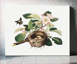 Πίνακας, Apple blossoms and bird's nest (1878) in high resolution by L. Prang & Co