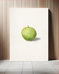 Πίνακας, Apple (Malus Domestica) (1909) byW.L.Burn