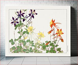 Πίνακας, Aquilegia flower, Japanese woodblock art