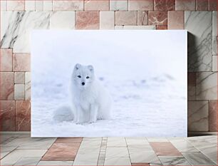 Πίνακας, Arctic Fox in Snow Arctic Fox στο χιόνι
