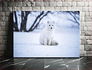 Πίνακας, Arctic Fox in Snow Arctic Fox στο χιόνι