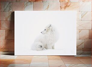 Πίνακας, Arctic Fox in Snow Arctic Fox στο χιόνι