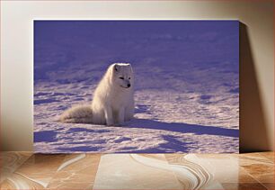 Πίνακας, Arctic Fox in Snow Arctic Fox στο χιόνι