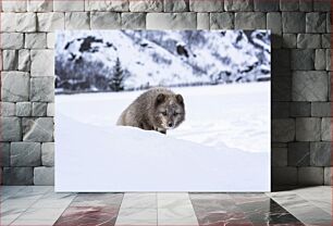 Πίνακας, Arctic Fox in Winter Landscape Αρκτική αλεπού στο χειμερινό τοπίο