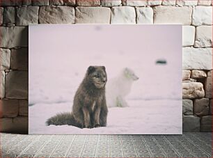 Πίνακας, Arctic Foxes in Snow Αρκτική αλεπούδες στο χιόνι