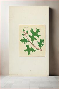 Πίνακας, Autograph Quilt (1935/1942) by Margaret Linsley and Cornelius Christoffels