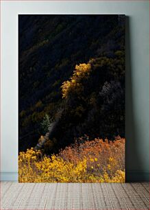 Πίνακας, Autumn Colors in the Mountains Φθινοπωρινά Χρώματα στα Βουνά