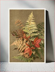 Πίνακας, Autumn ferns (1887) chromolithograph art by Ellen T. Fisher