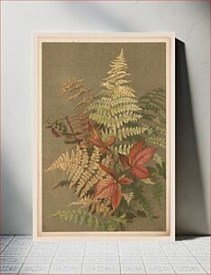 Πίνακας, Autumn ferns