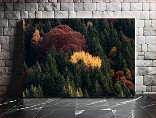 Πίνακας, Autumn Foliage in a Dense Forest Φύλλωμα φθινοπώρου σε ένα πυκνό δάσος