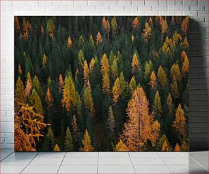 Πίνακας, Autumn Forest Canopy Φθινοπωρινός δάσος