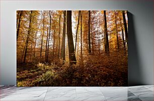 Πίνακας, Autumn Forest in Sunlight Φθινοπωρινό δάσος στο φως του ήλιου