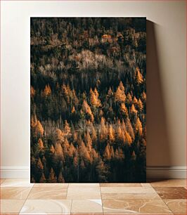 Πίνακας, Autumn Forest Φθινοπωρινό Δάσος