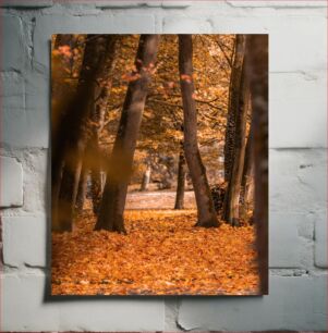 Πίνακας, Autumn Forest Φθινοπωρινό Δάσος