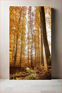 Πίνακας, Autumn Forest Φθινοπωρινό δάσος