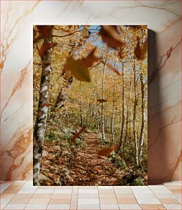 Πίνακας, Autumn Forest Path Φθινοπωρινό Δασικό Μονοπάτι