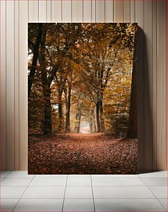 Πίνακας, Autumn Forest Path Φθινοπωρινό Δασικό Μονοπάτι