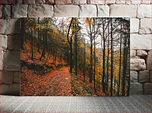 Πίνακας, Autumn Forest Path Φθινοπωρινό Δασικό Μονοπάτι