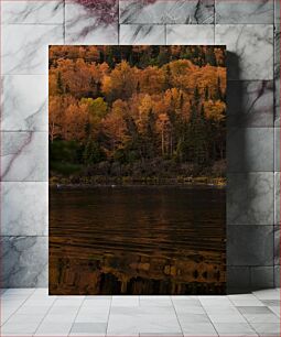 Πίνακας, Autumn Forest Reflection Φθινοπωρινή Δασική Αντανάκλαση