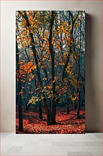 Πίνακας, Autumn Forest Scene Φθινοπωρινή Δασική Σκηνή