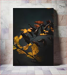 Πίνακας, Autumn Leaves in Dark Φθινοπωρινά Φύλλα στο Σκοτάδι